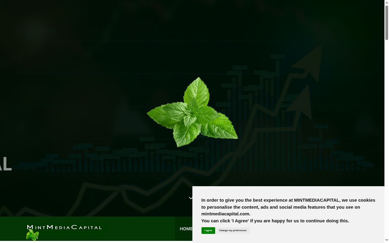 Screenshot of the Mint Media Capital website